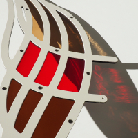 Butterfly - Atrophaneura semperi albofasciata